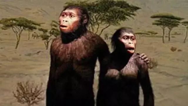 《Science》公布的 125 个最具挑战性的科学问题,你感兴趣的是哪个?-204