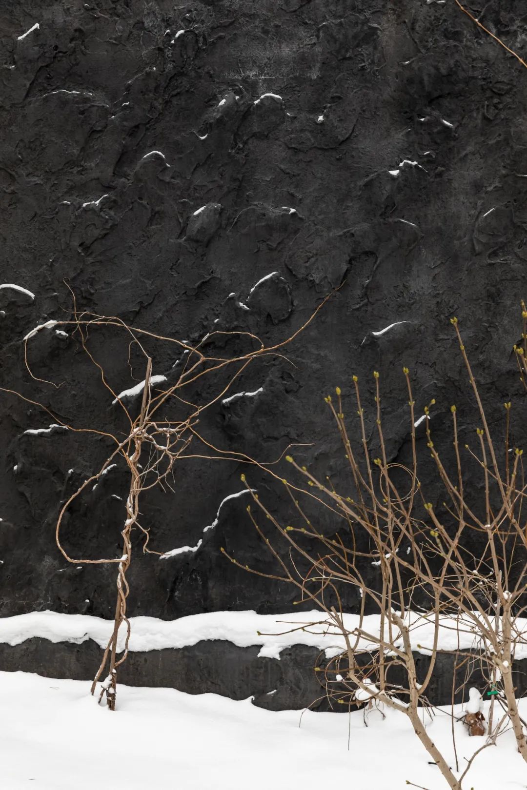 乌克兰 Shkrub 住宅丨Serhii Makhno-70