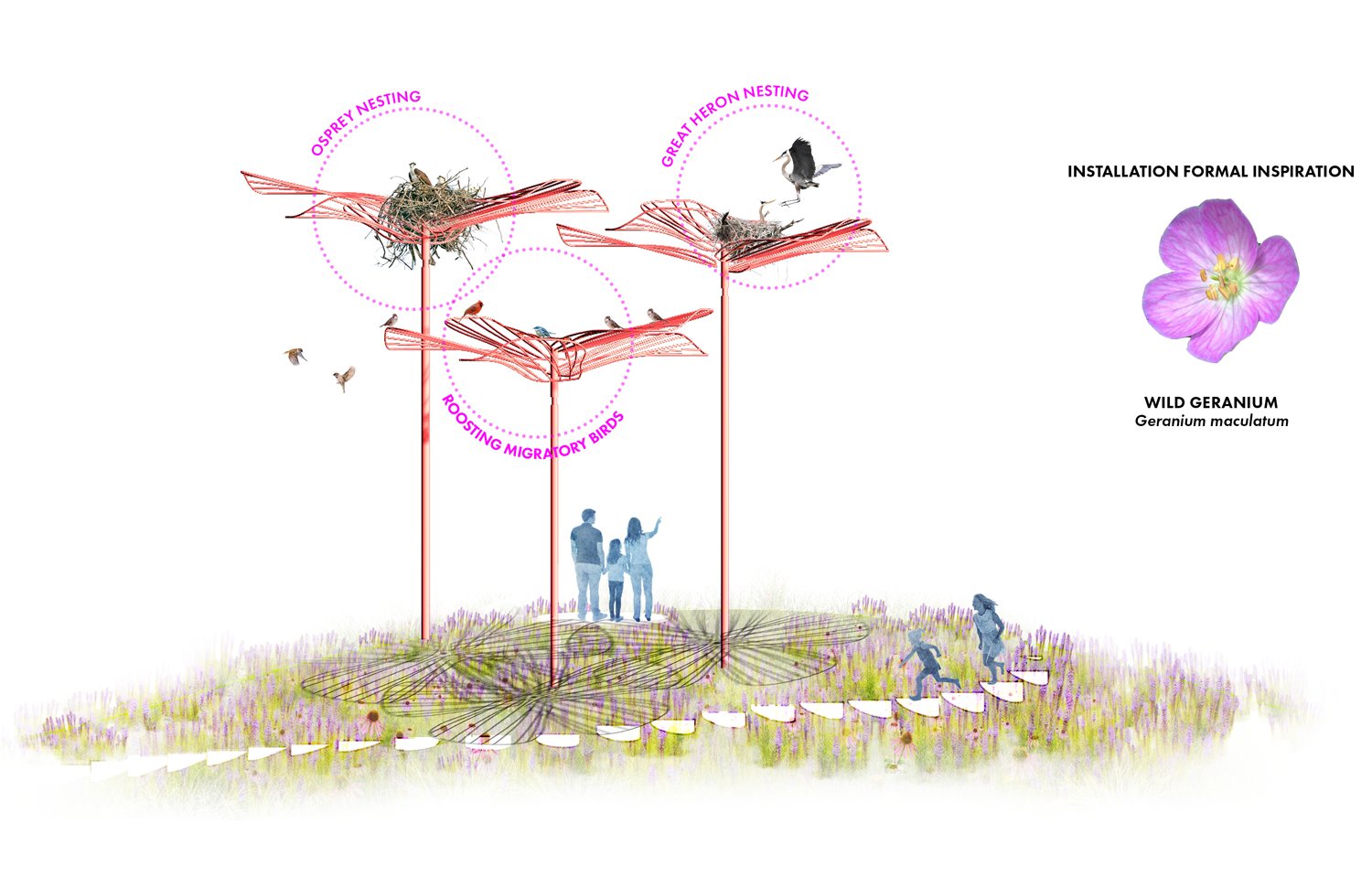 露天植物园丨美国皮奥里亚-20