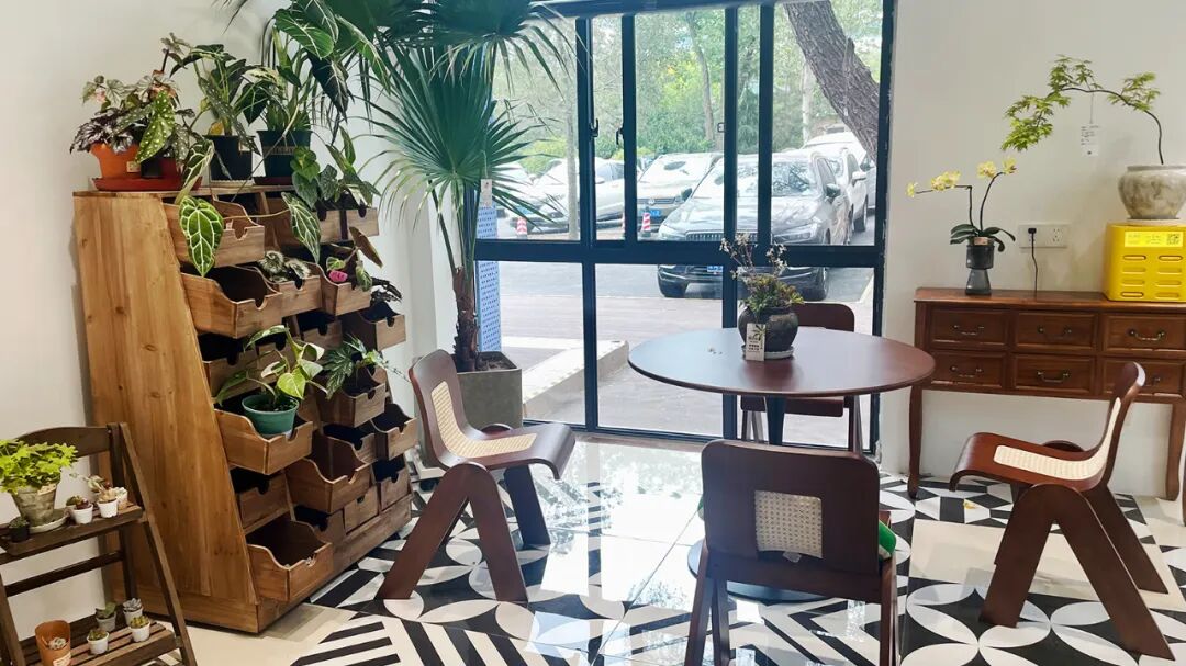 泉城焕新绿▏泉民园艺中心旗舰店-10