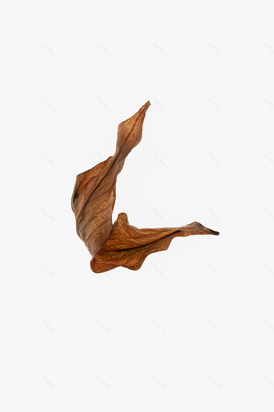 TorriPhoto摄影创作项目-33