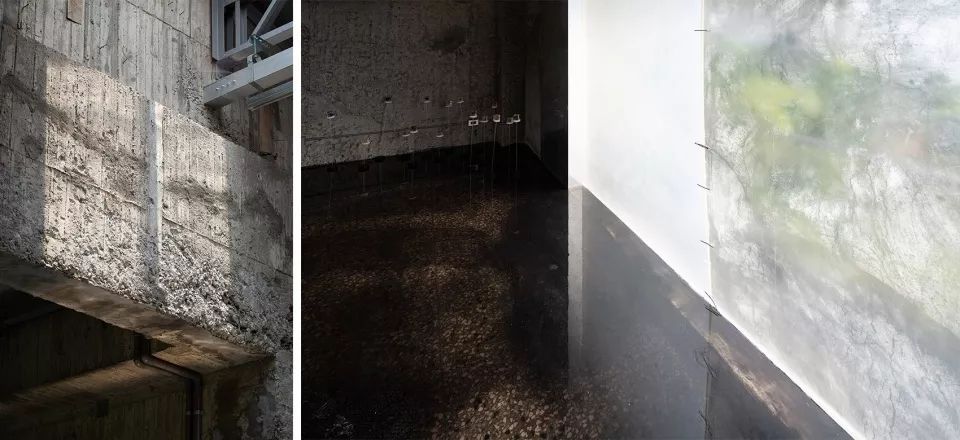 苗栗香格里拉乐园自然教室 | 岩石与银网的生态奇观-71