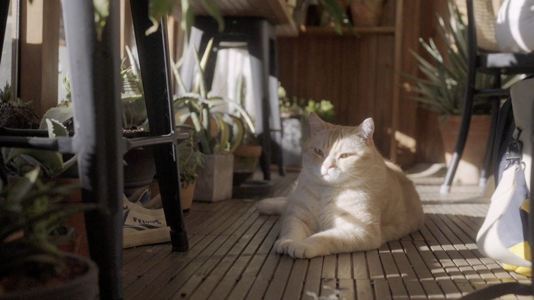 绿意盎然之家 · 北京四合院改造设计丨中国北京-46