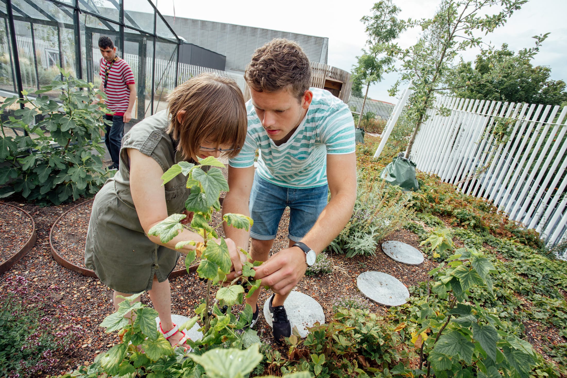 丹麦腓特列斯贝,感官体验治疗屋顶花园-24