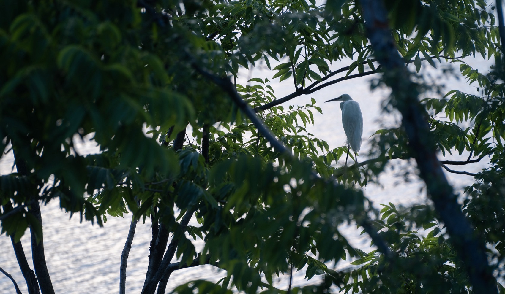 常熟琴湖公园丨中国江苏丨GED格境建筑景观设计有限公司-67