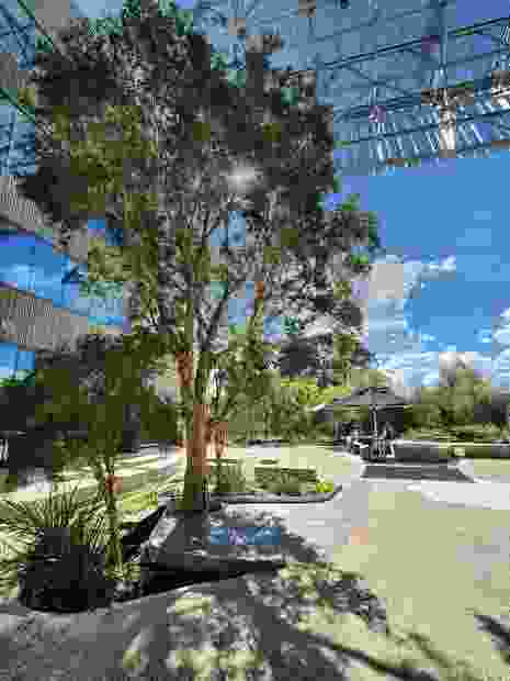 科廷大学设计与建筑环境学院项目丨澳大利亚珀斯丨Realm Studios,Wardle等-5