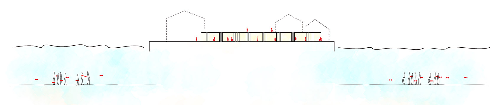 小樽国际信息中心丨日本丨waiwai-16