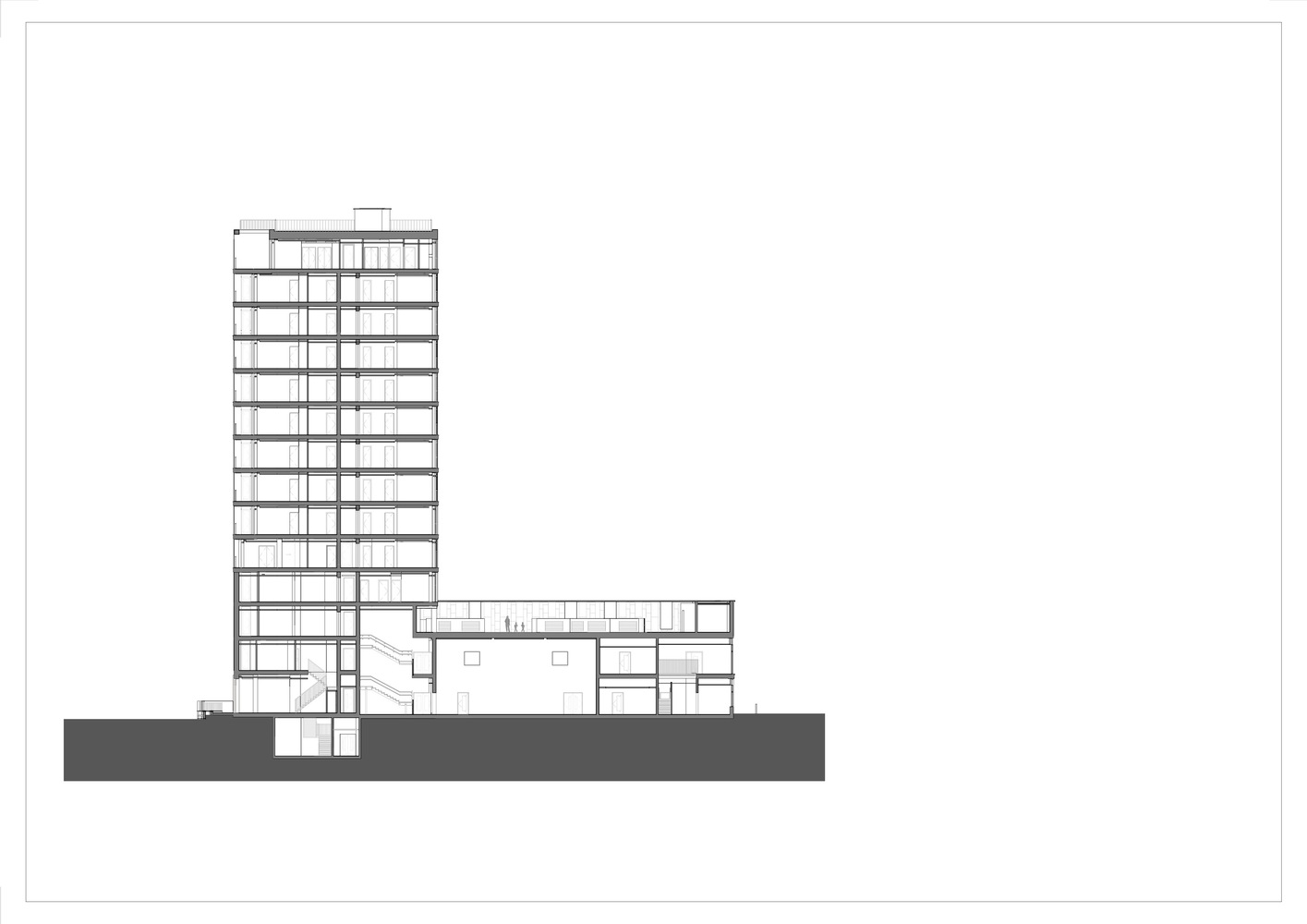 老虎之路(Tiger Way)-49