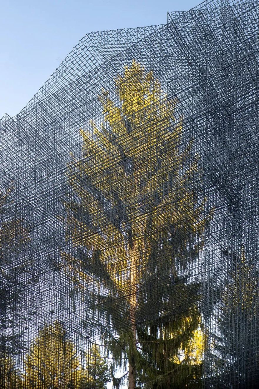 骶骨的;骶部的丨意大利丨Edoardo Tresoldi-56