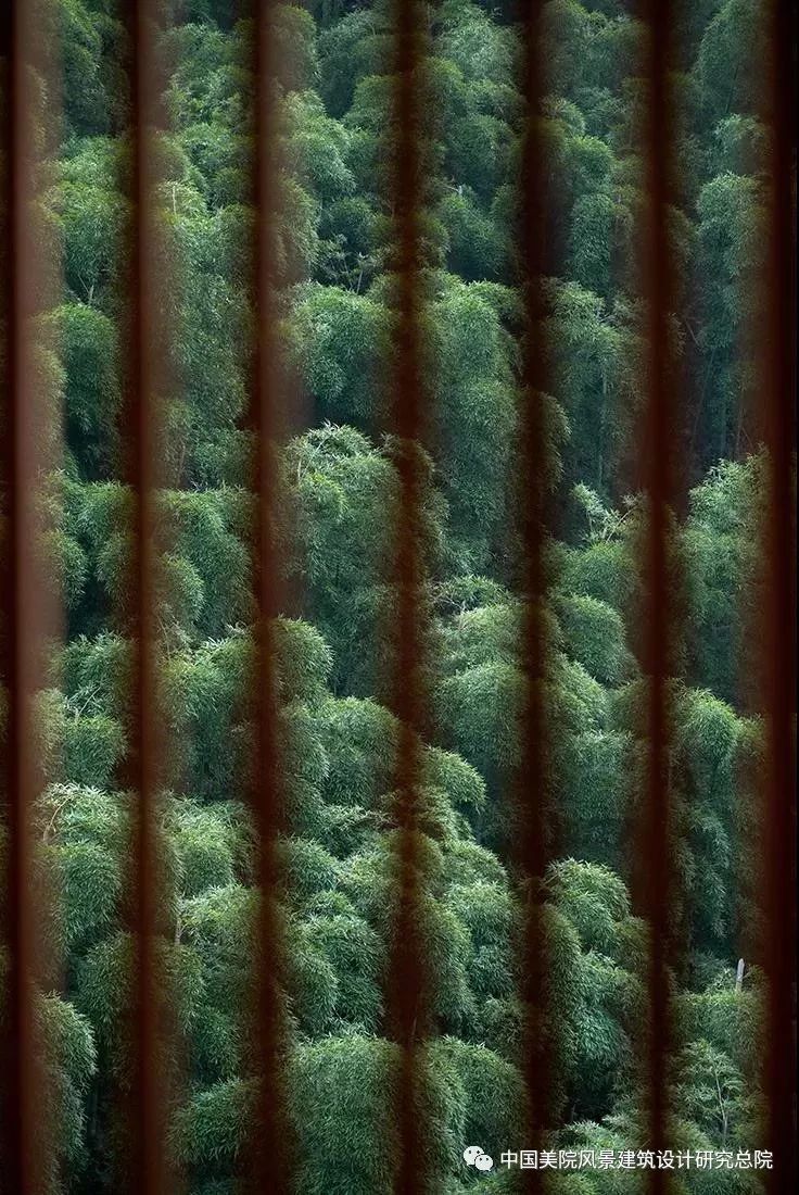 安吉尔庐度假酒店,隐逸于翠竹山水间的闲暇胜地-42