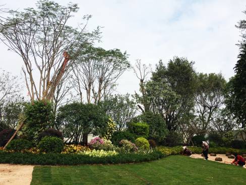 绿化设计中的地被放线手法与植物配置-126