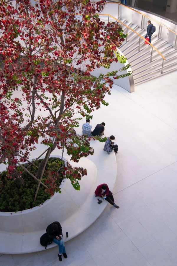 浙江嘉兴嘉善站火车站丨中国嘉兴丨MAD-56