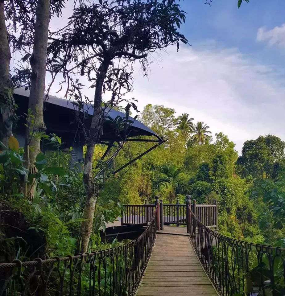 嘉佩乐酒店丨多个设计公司-93