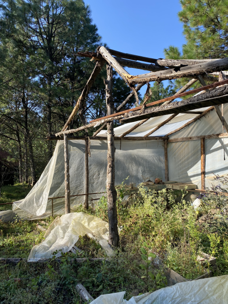 丨墨西哥丨未明确提及-43