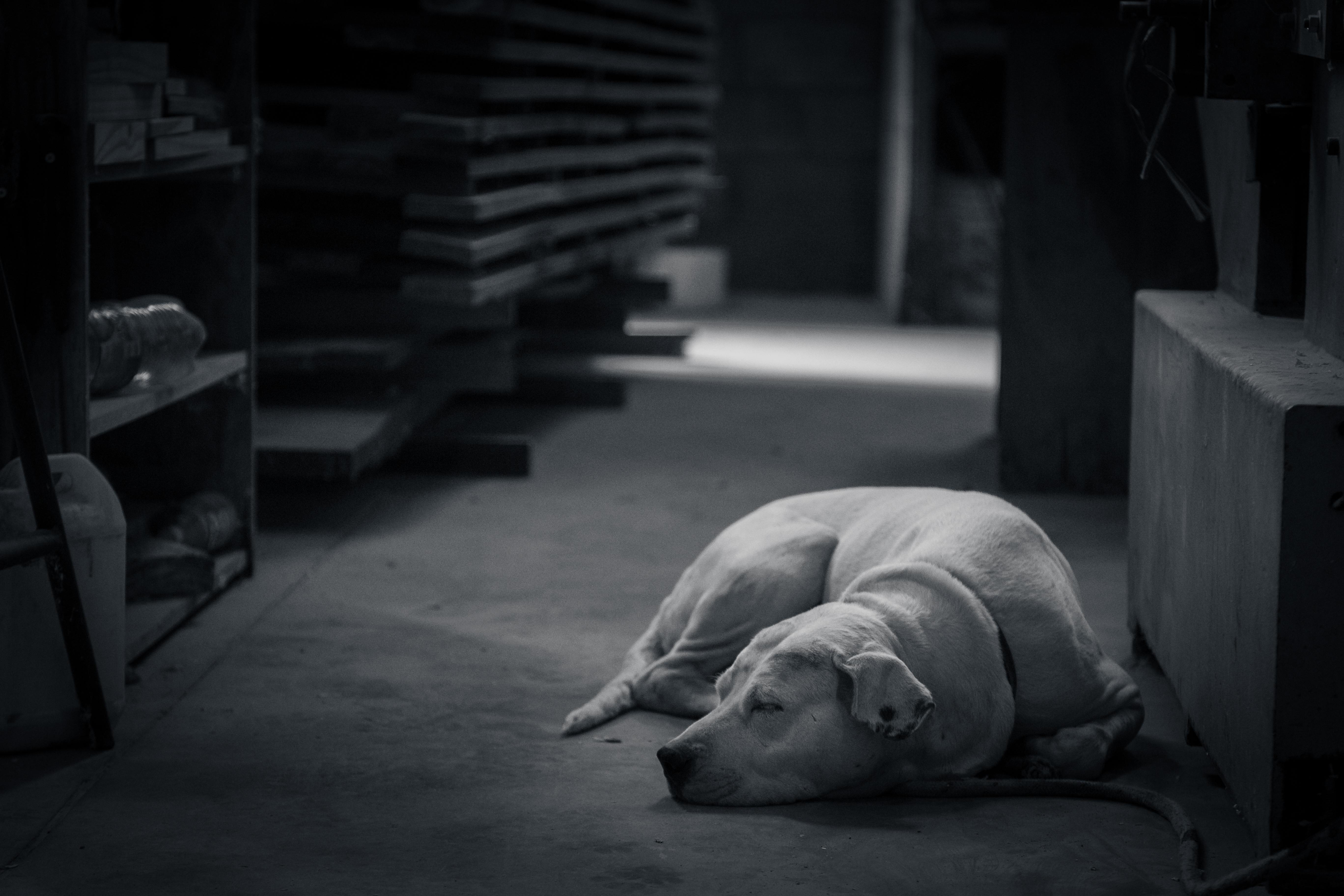 Maderera / Lumber company-23