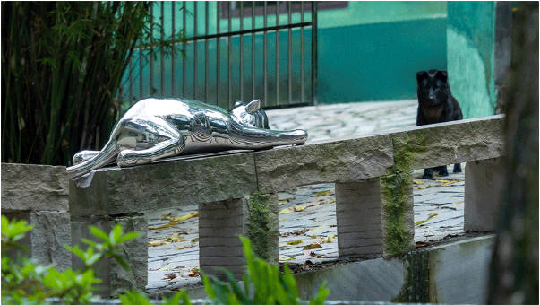 清水溪片区城中村微更新项目丨中国重庆丨十作设计-30