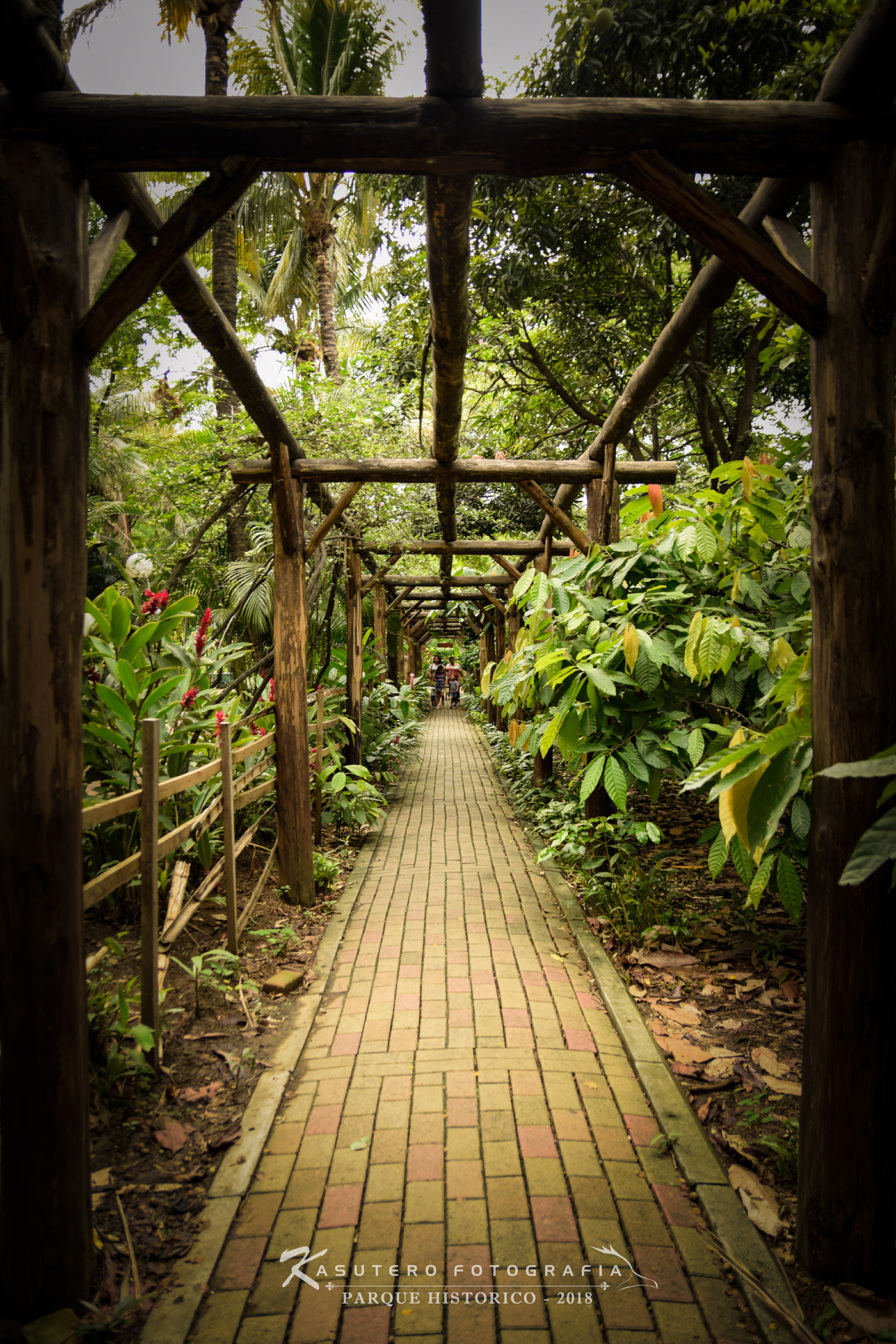 Anastasiya Gushchina丨公园丨Fotografía urbana-4