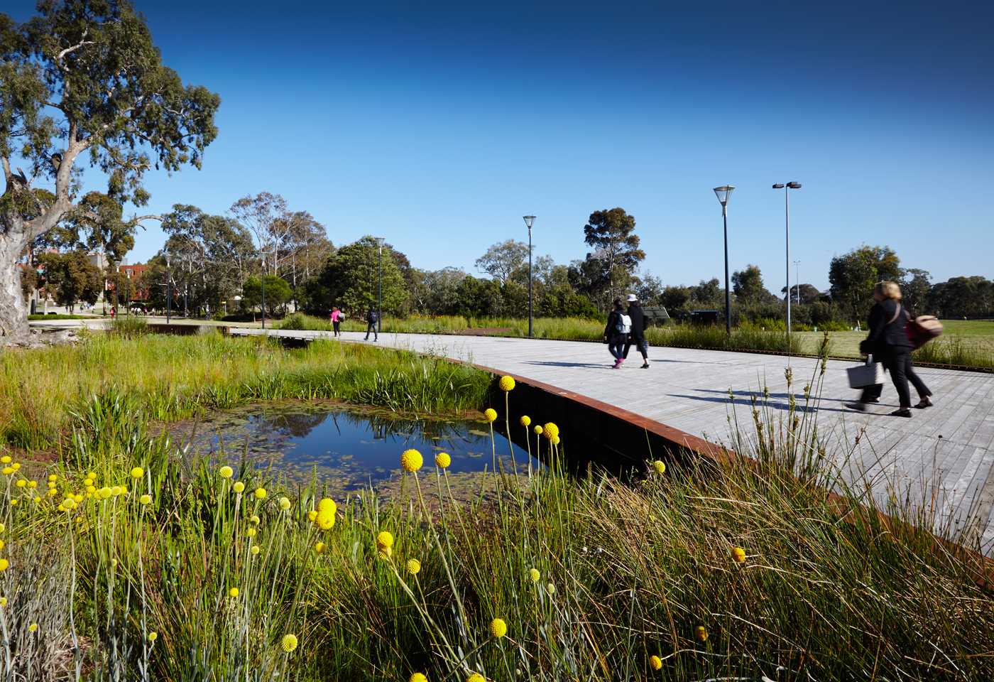 皇家墨尔本理工大学绿廊(RMIT Bundoora Pedestrian Spin)-9
