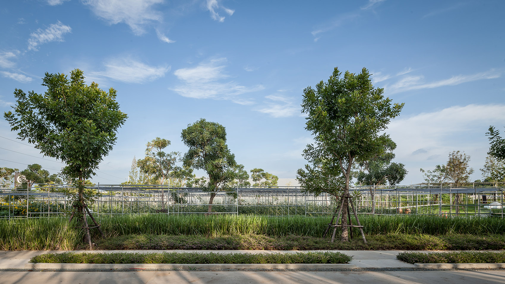 都市农场，泰国 / Integrated Field Co.,Ltd.-8