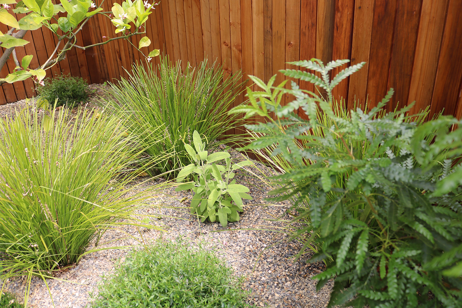 身边风景 | Soft Studio-79