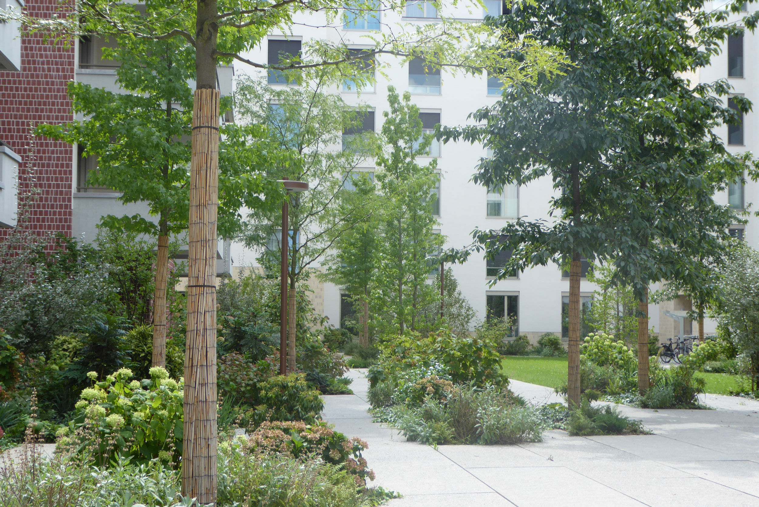 Housing The Cloud Baar 住宅庭院丨瑞士丨Studio Vulkan-6