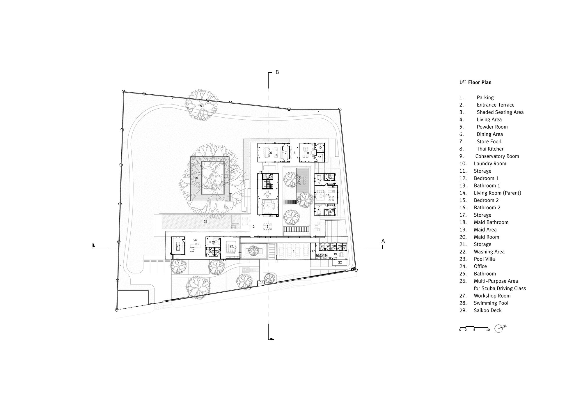 丨泰国丨Anonym-21
