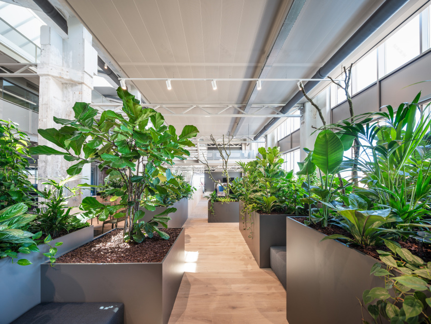 KB Building / HofmanDujardin + Schipper Bosch-21