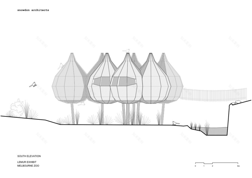 Lemur Exhibit Snowdon Architects-37