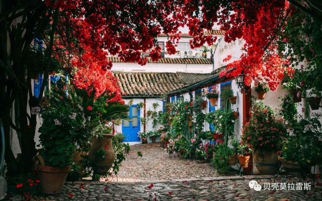 西班牙庭院设计-16