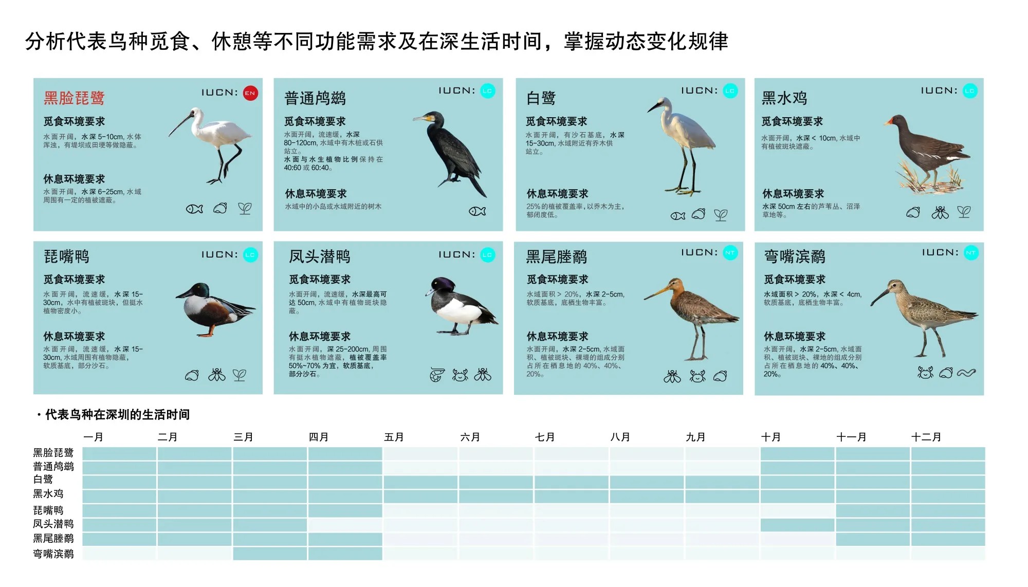 福田红树林国家级自然保护区避风塘,淡水塘,5  11号塘丨中国深圳丨北京一方天地环境景观规划设计咨询有限公司-42