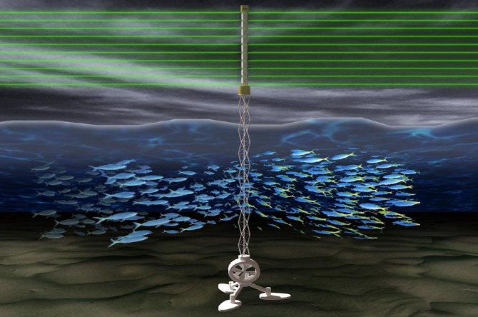 雷迪克

注：RAYDIKE可能是一个人名、品牌名等专有名词，这里按照音译给出结果 丨美国-22