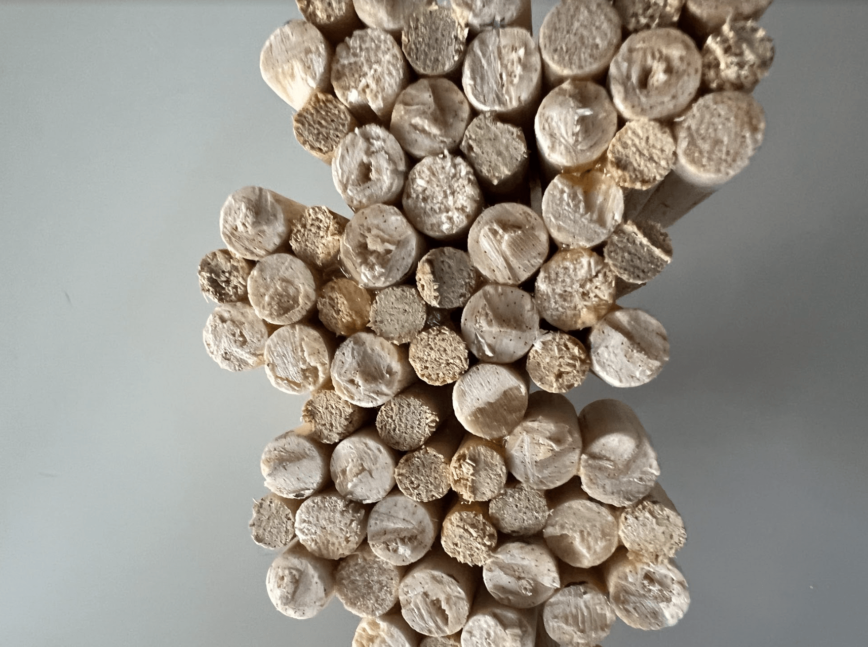 无尽的景色丨ANDREA WILLIAMSON CHAMÁS-15