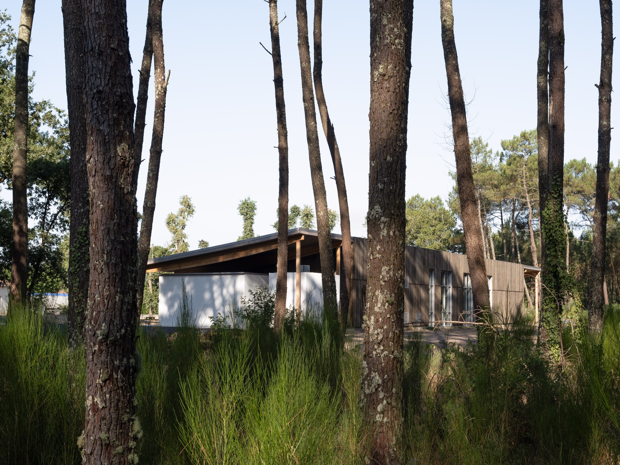 La Pinede Elementary School and Multi-Purpose Hall / ZW/A zweyacker & associés-13