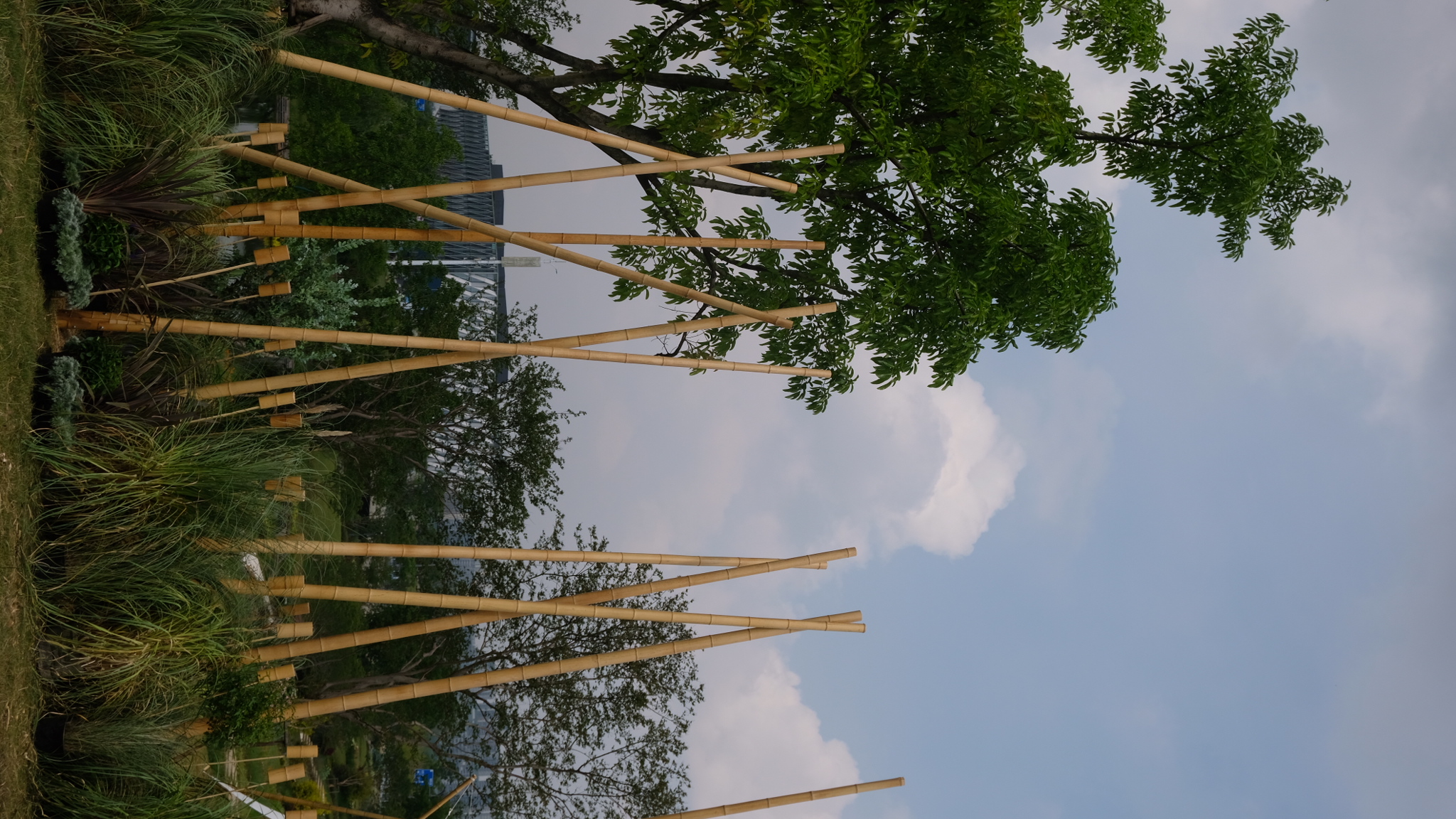 竹林丨中国成都丨Atelier Folie（北林风景建筑研究中心）-14