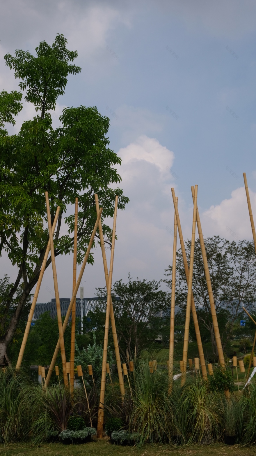 竹林丨中国成都丨Atelier Folie(北林风景建筑研究中心)-14