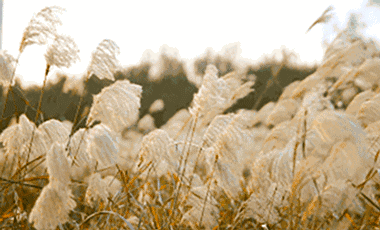 半盏清茶 · 肇庆方直亚汀公馆样板间设计丨中国肇庆丨广州奥迅室内设计有限公司-20