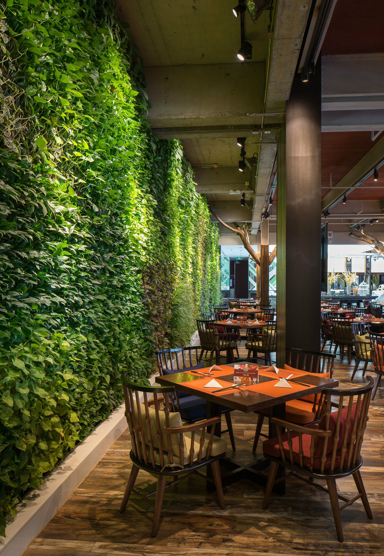 筑土设计  极富艺术感的“树”餐厅-12