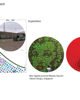 弗拉恩·城市菜园