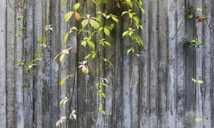 东京混凝土洞穴·极简主义私人住宅丨日本东京丨Suppose Design Office-58