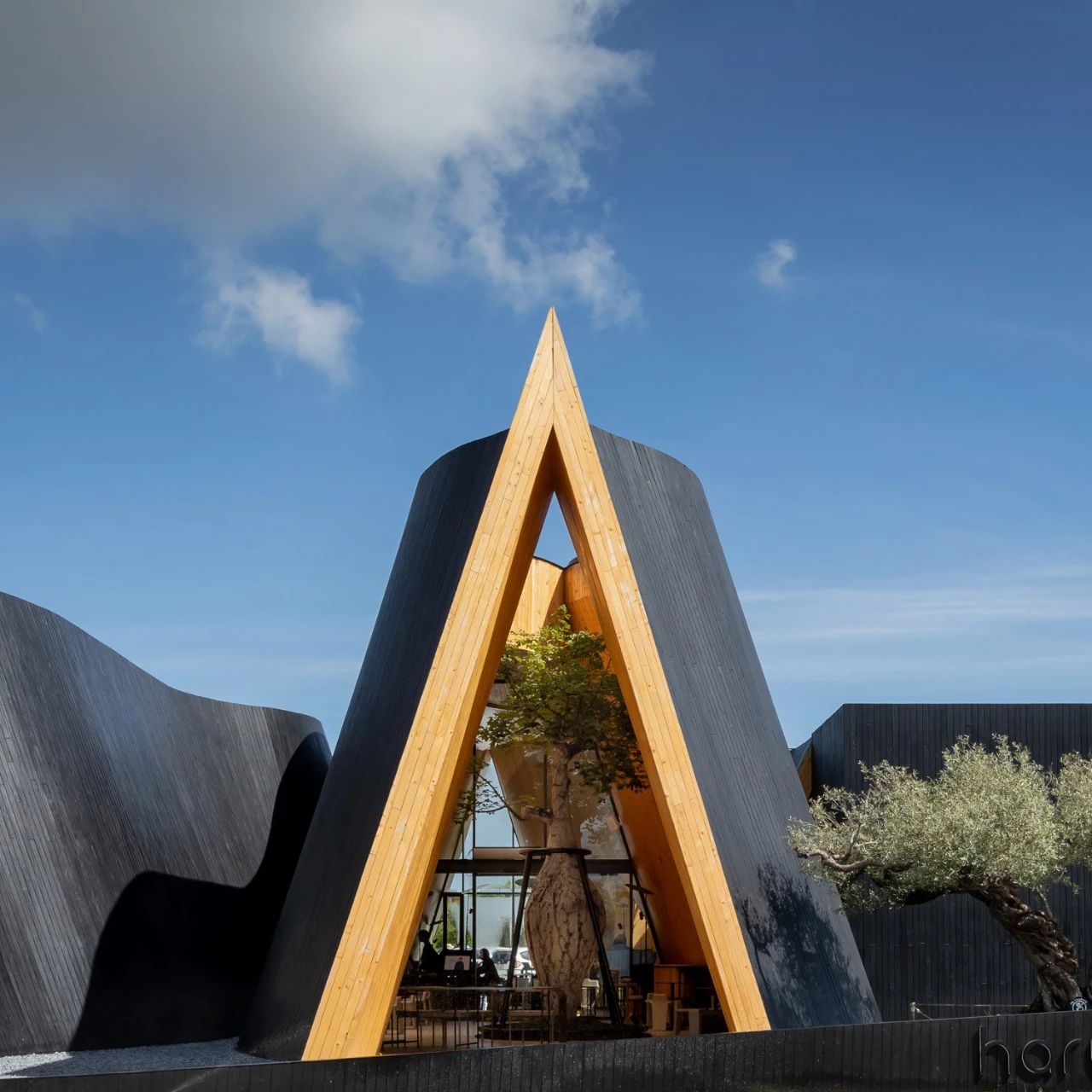 黑色咖啡馆 在自然间流动：泰国 Harudot Chonburi by NANA Coffee Roasters-19