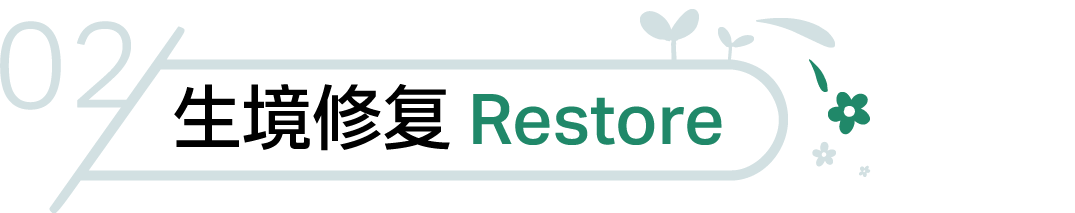 上海碧云绿地丨中国上海丨AECOM-23