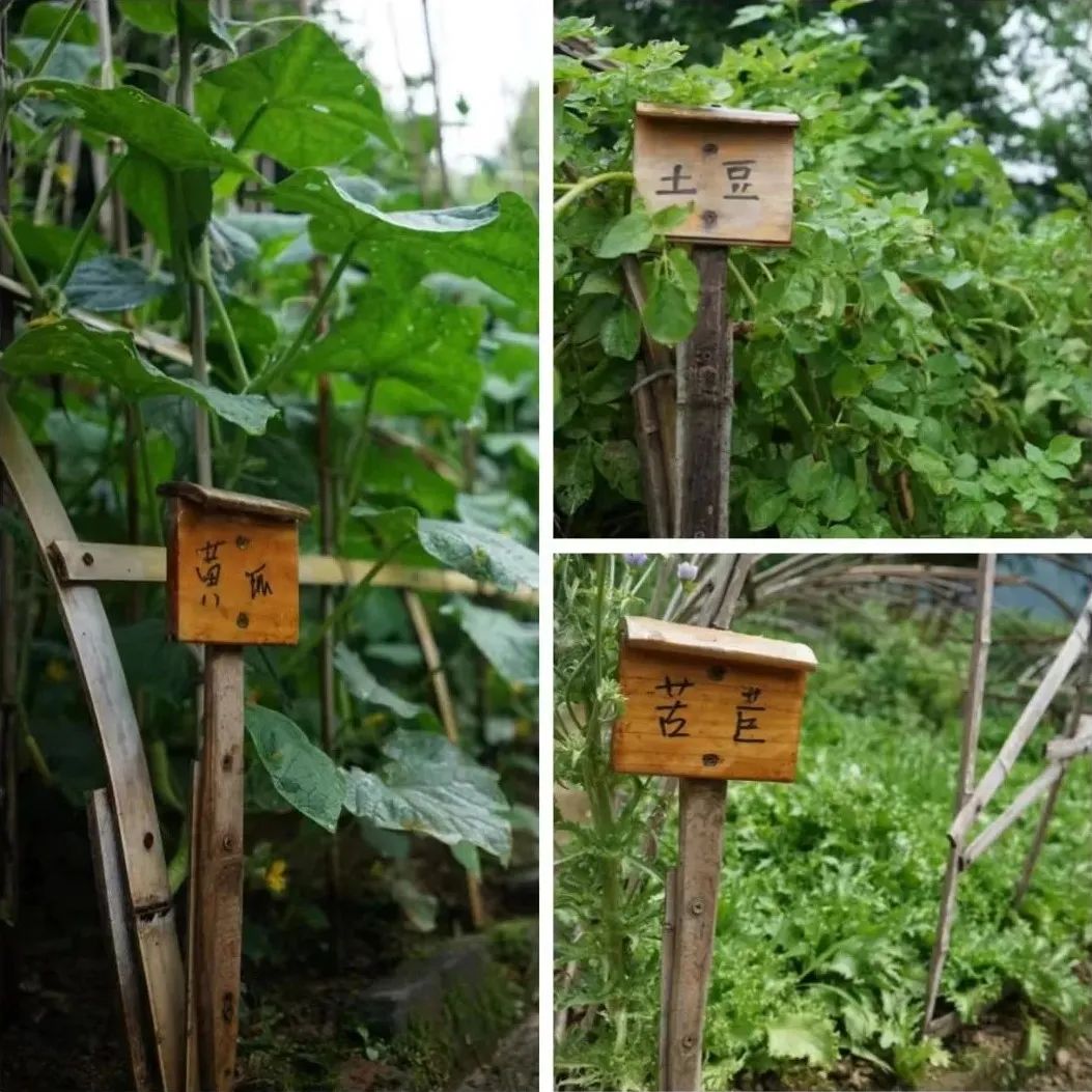 回声花园 · IT 夫妇的乡野生活丨中国黄山丨红子,小可夫妇-62