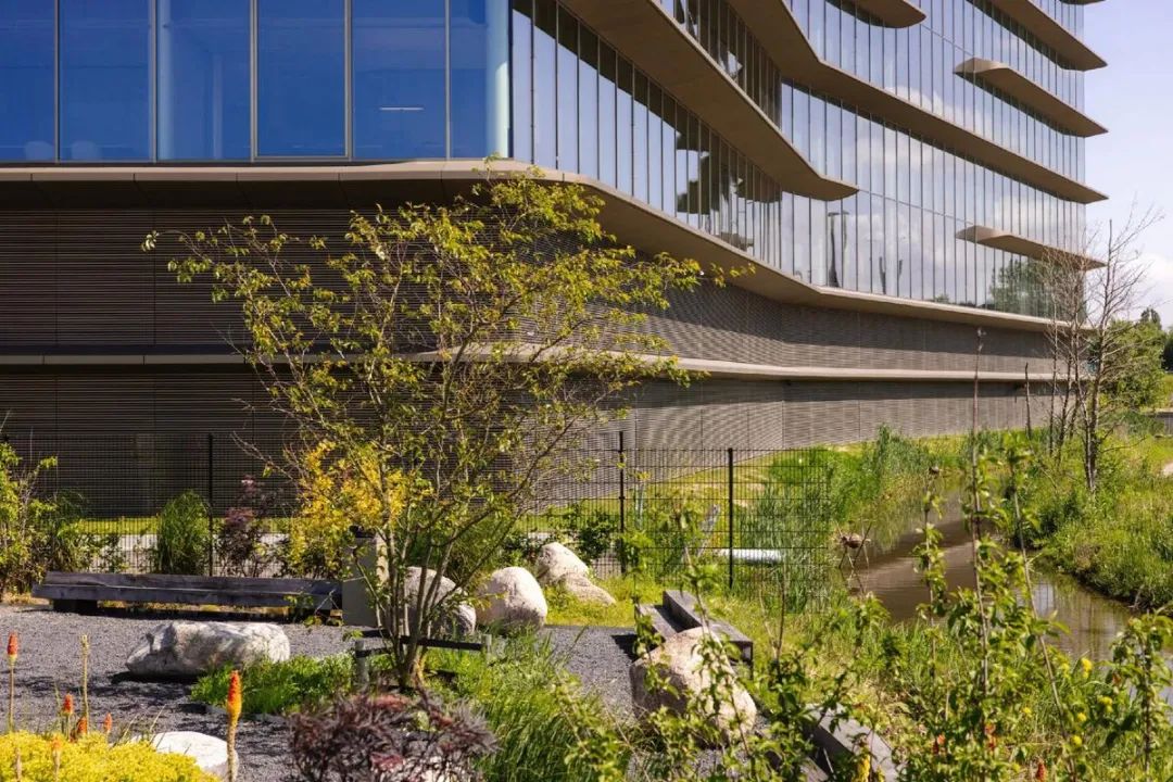 Galapagos企业总部丨荷兰丨CBRE-66