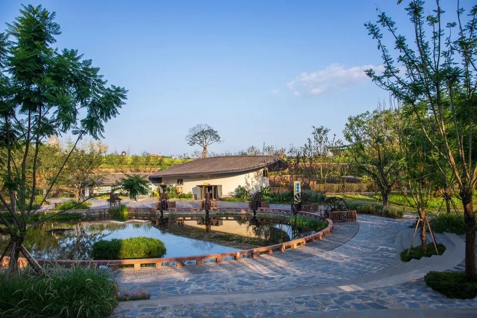 成都新希望种子乐园丨蓝海景观-0