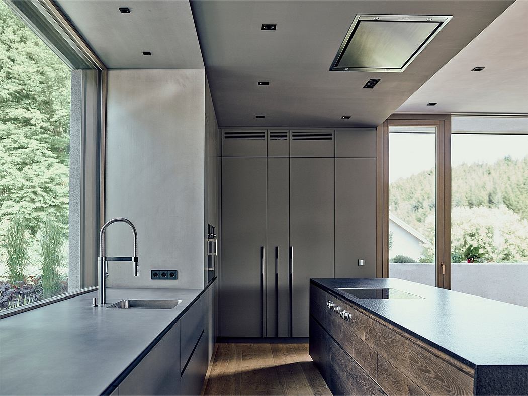 House L · 奥地利豪华住宅设计-3