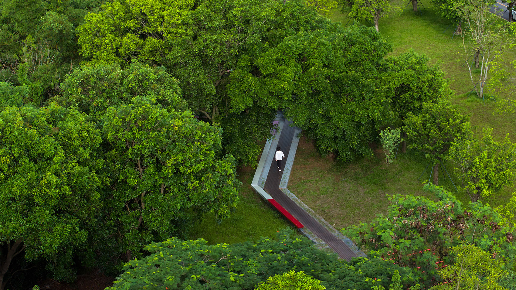 重焕生机的土地·深圳光明虹桥1958生态公园丨中国深圳丨自组空间-54