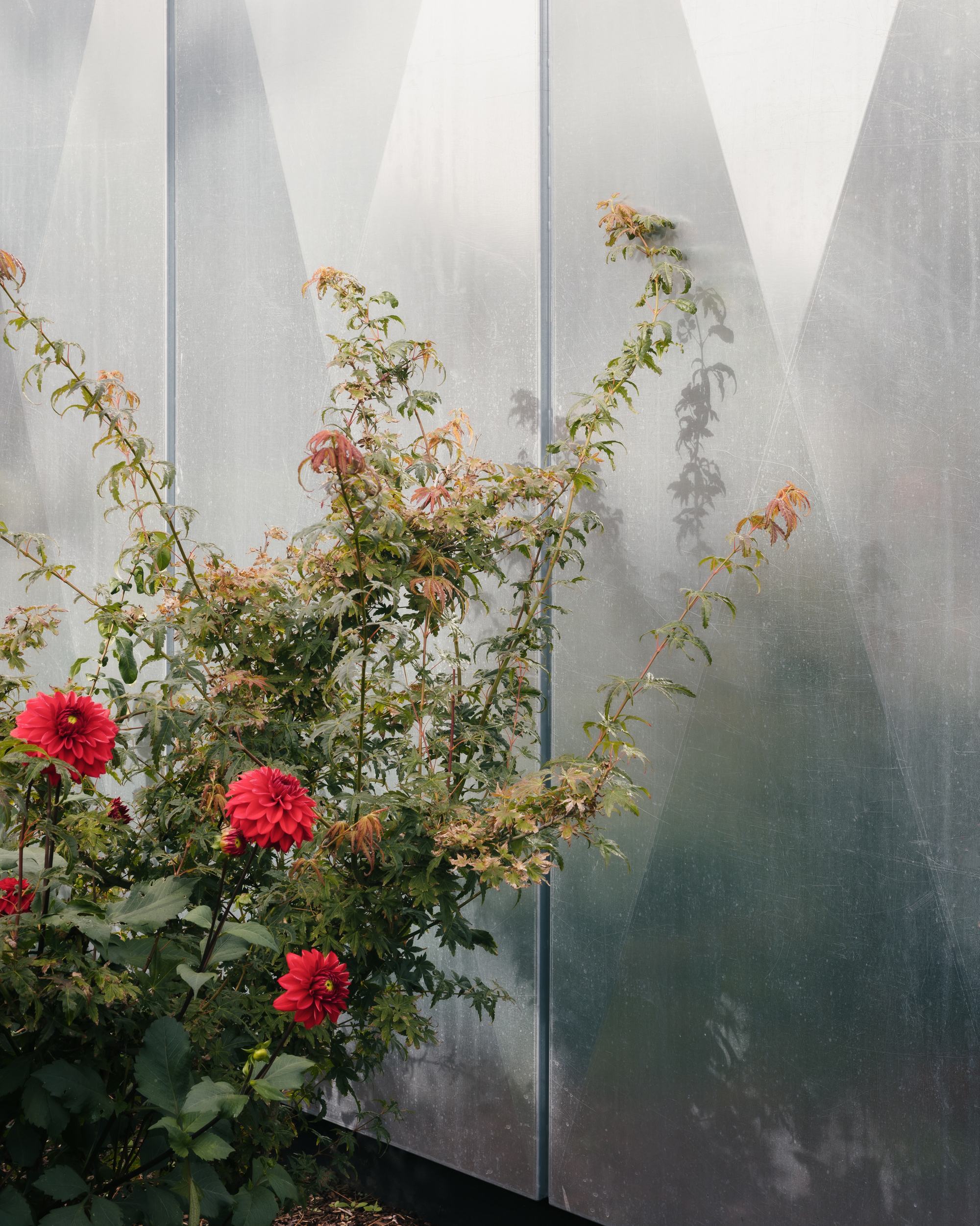 图书馆亭阁丨比利时那慕尔丨FELT-33