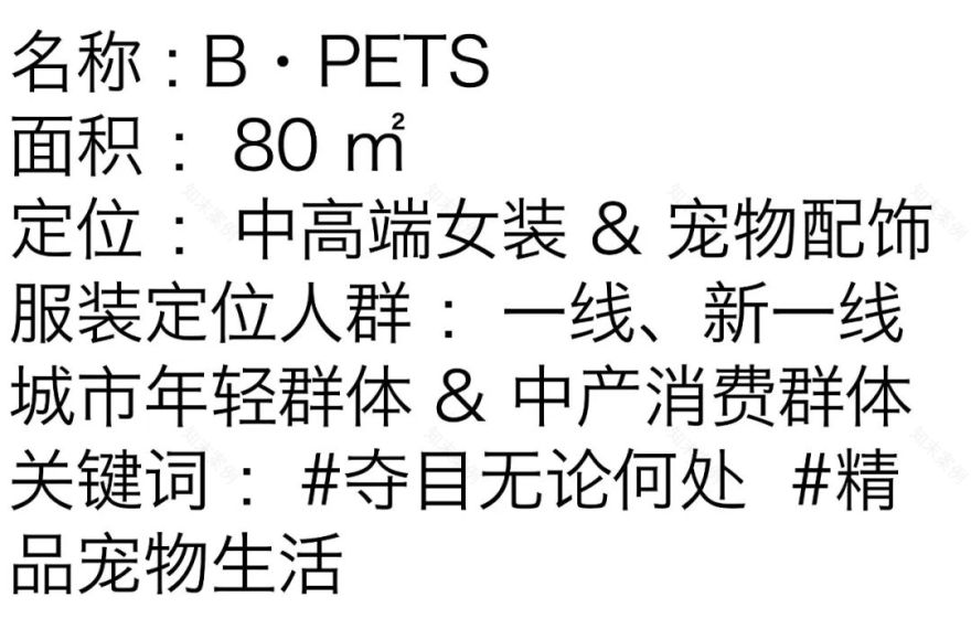 B·PET 宠物服装买手店丨中国深圳丨Artdeep 艺痴設計-6