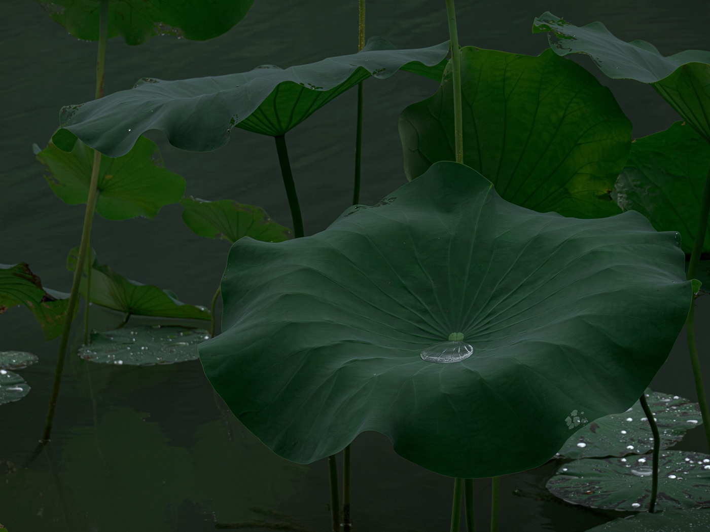 中国档案馆杭州分馆（杭州版本馆）丨中国杭州丨王澍-52