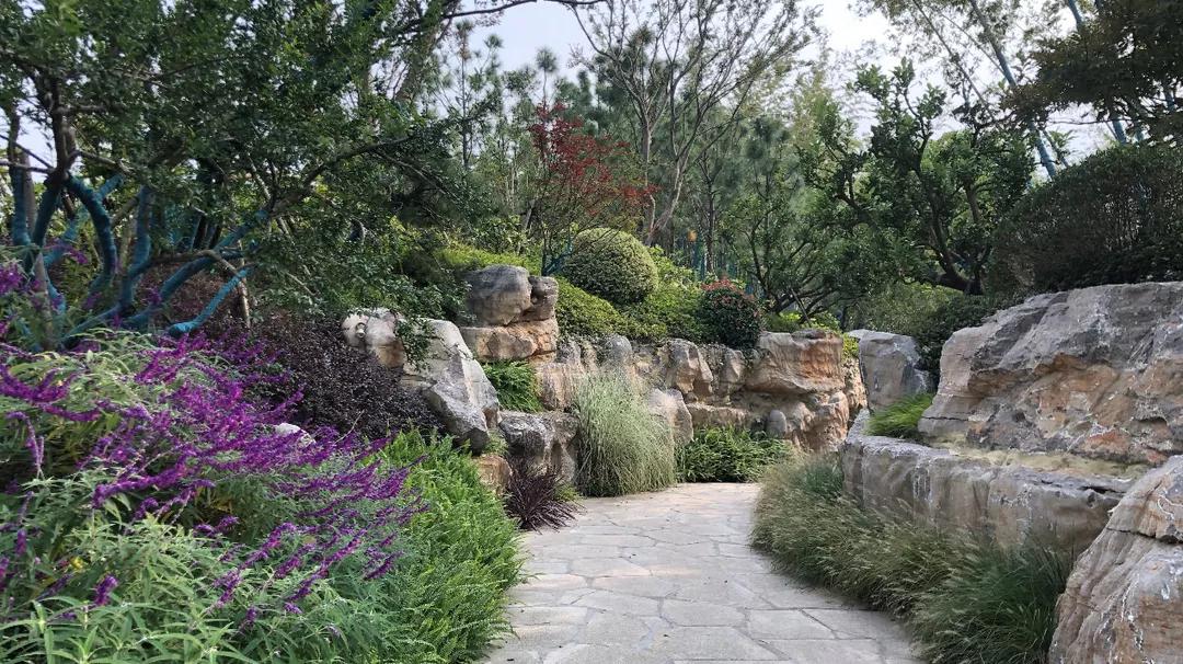 南通紫琅公园-15